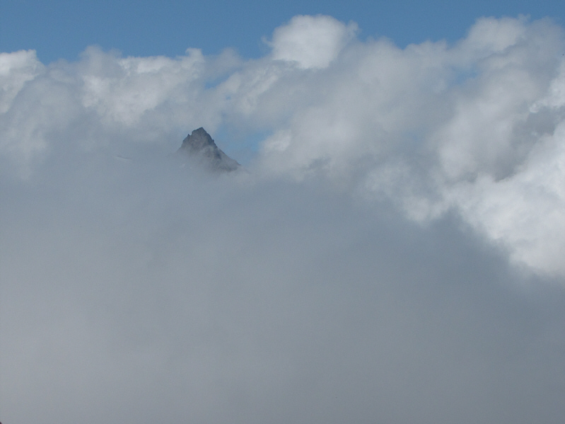 Cue the theme from JAWS...