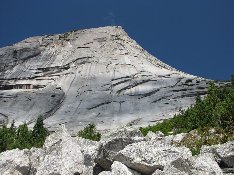 Look up, look waayyyy up!