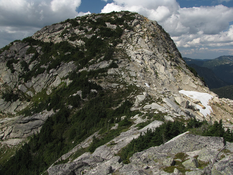 Lotsa bush-grabbing ahead!