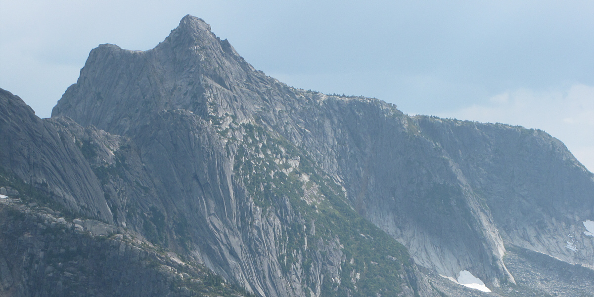 Looks scaly, like a dragon!