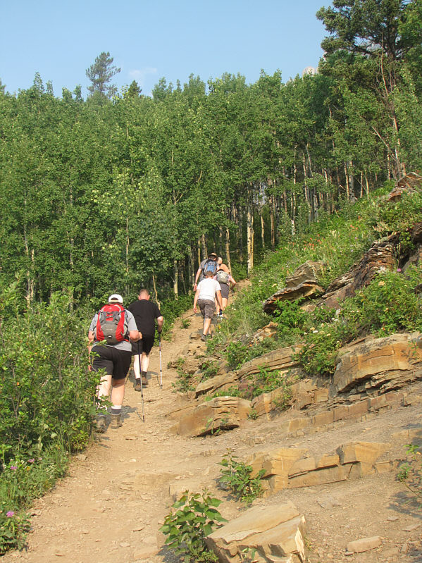 It's a brisk pace--everyone must be full of beans!