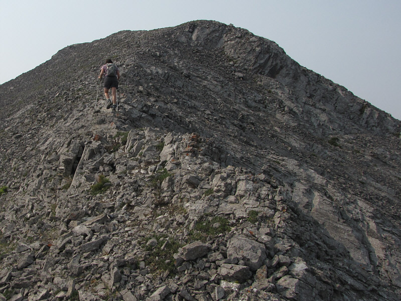 Isabelle leads the way!