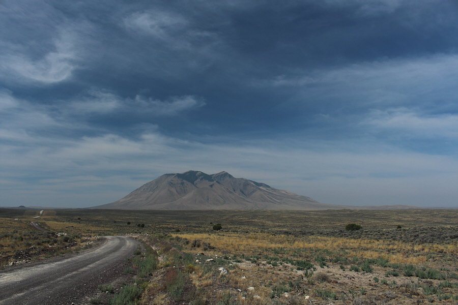 Look at the size of that thing...