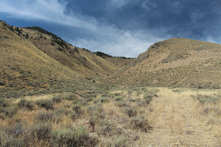 Staying in the drainage apparently leads to some nasty bushwhacking.
