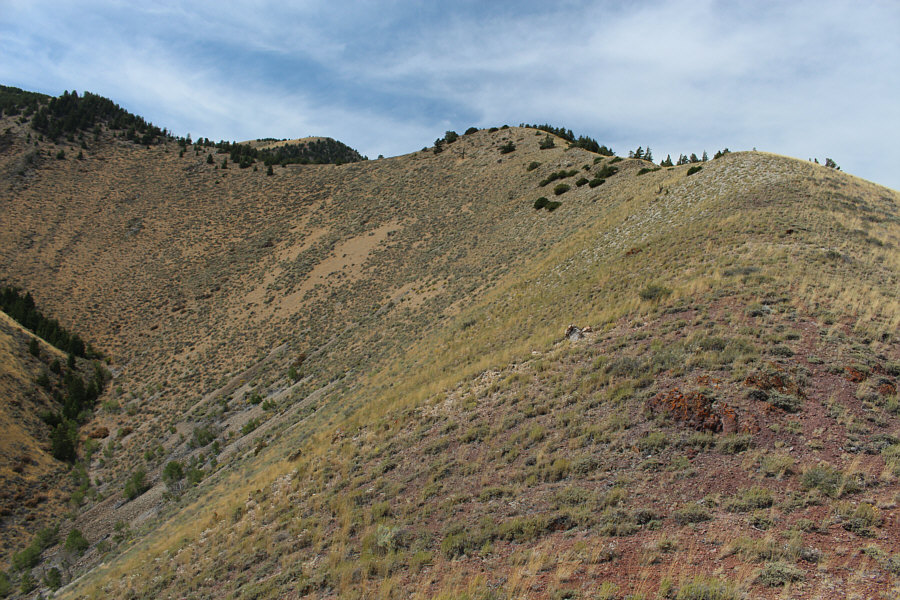 It's steeper than it looks, though!