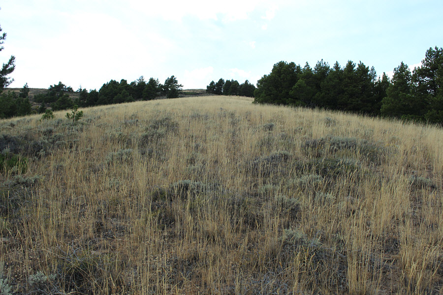 Thanks to foreshortening, the top is still further away than it seems!