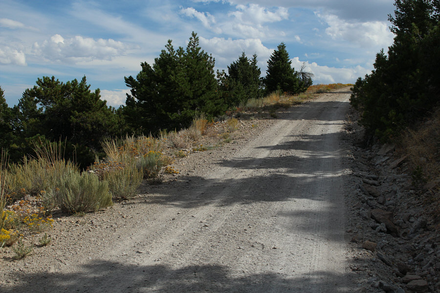 Yeah, I could have driven all the way up here too!