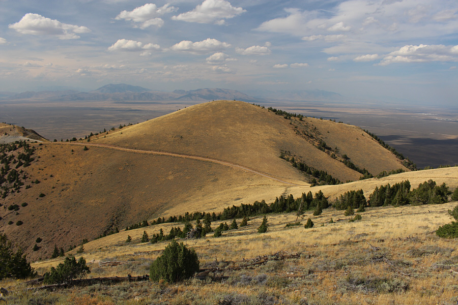 It's about 13 metres shorter according to USGS topo maps.