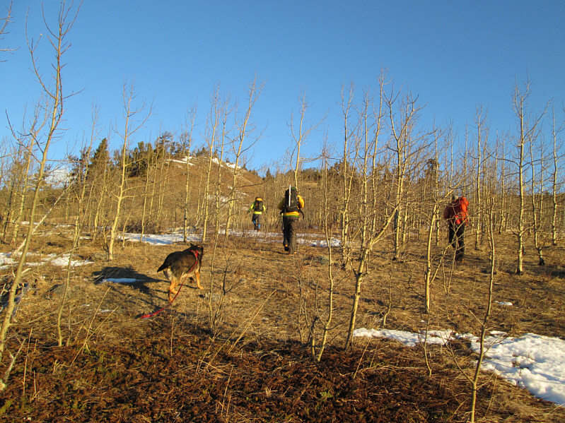 2nd dog in as many trips for me in 2015; the start of a new trend??