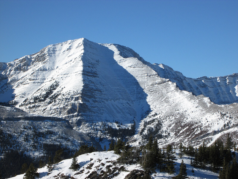 More interesting and challenging than one would expect.