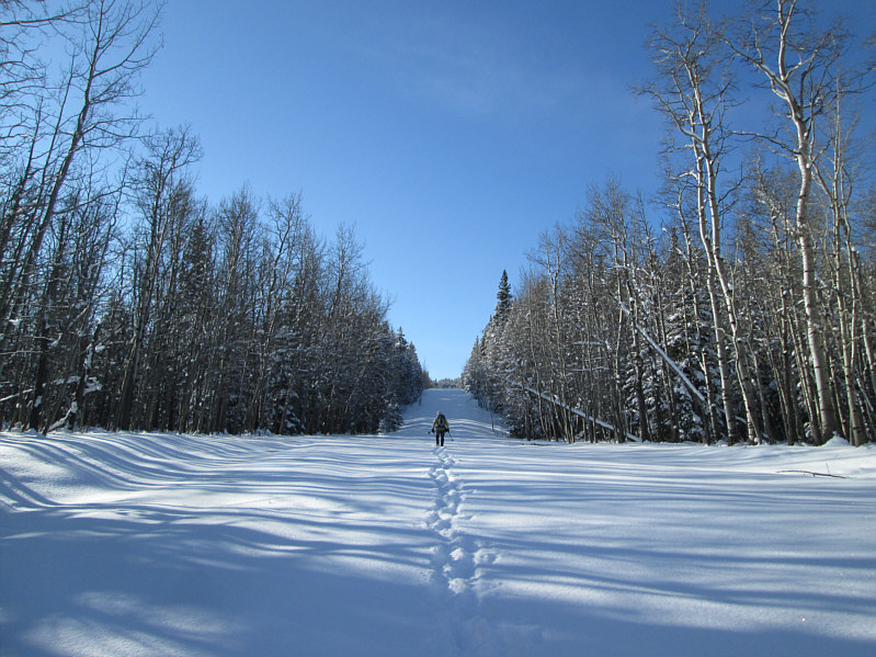 Wish I had cross-country skis here!