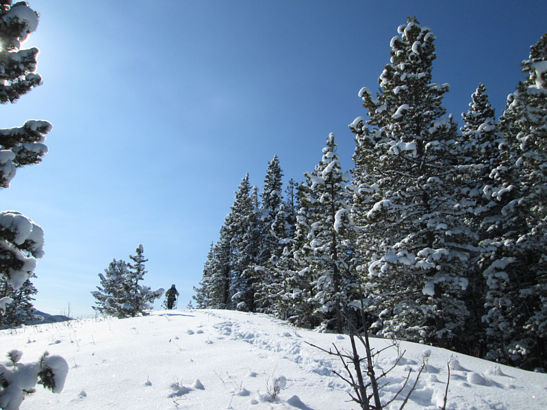 I initially thought this was the high point of the ridge.