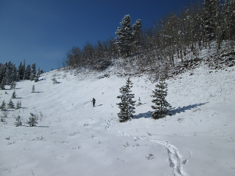 Anticipating a dramatic finish...