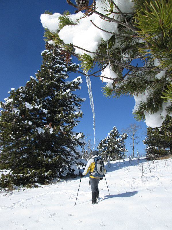 Meaning, you can never rest easy when you're at the top!