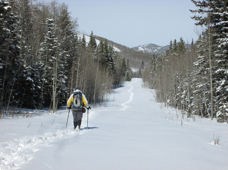 Death Star trench run??