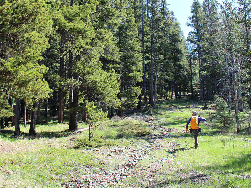 Yeah, not much to see for the first part of the hike.