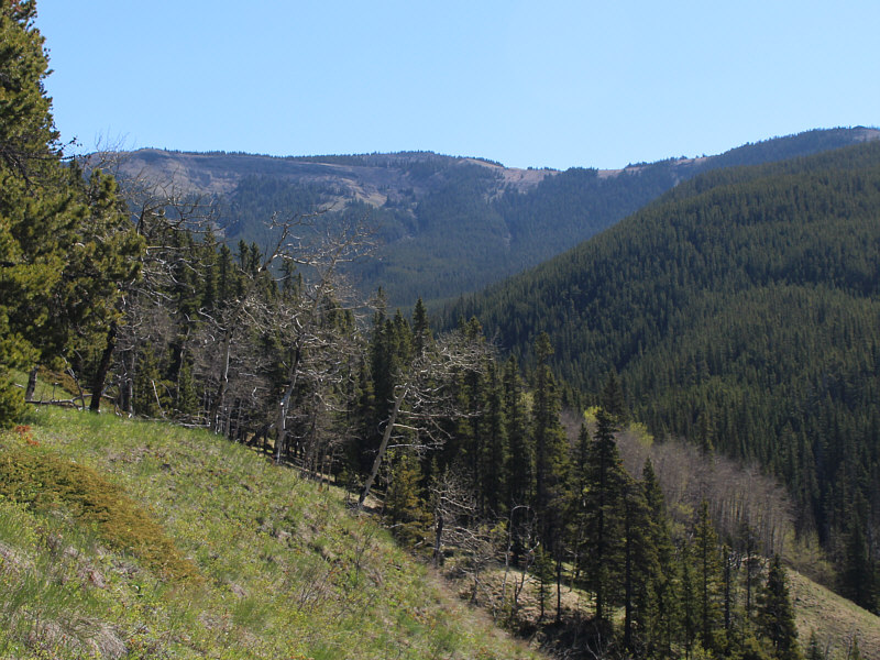 We left the road briefly at this point to by-pass some unnecessary height gain and loss.