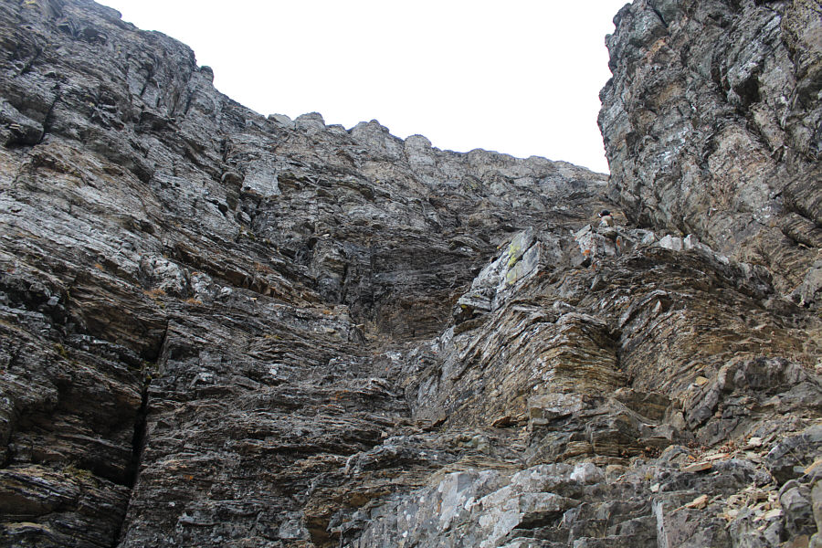 We're getting close to the top!