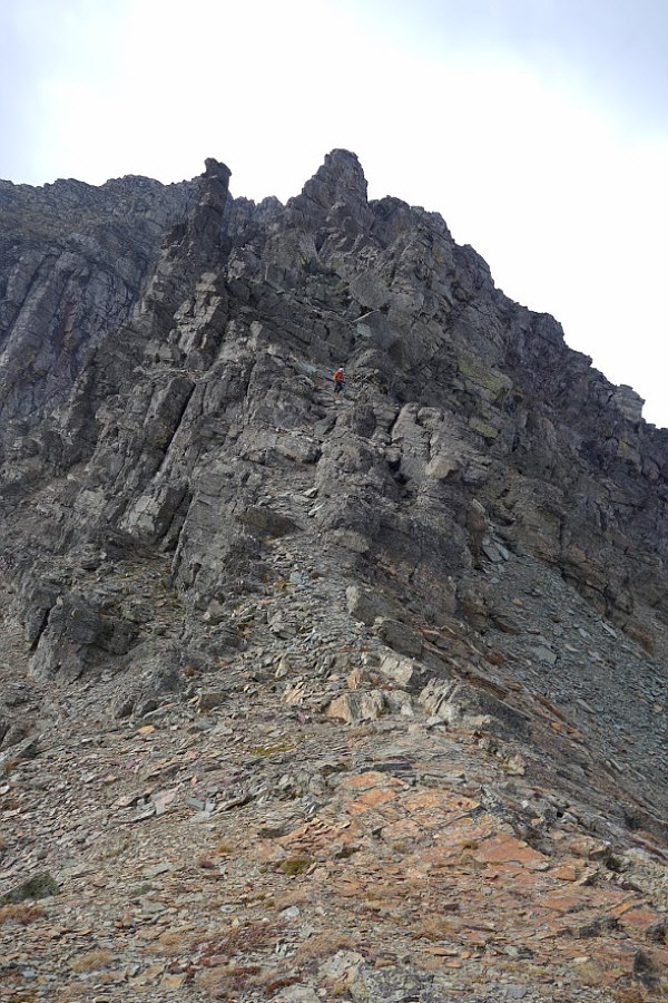 Thanks again, Doug, for the great photo.