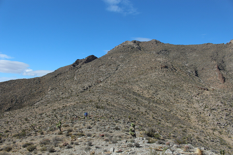 Looks pretty straightforward from here...