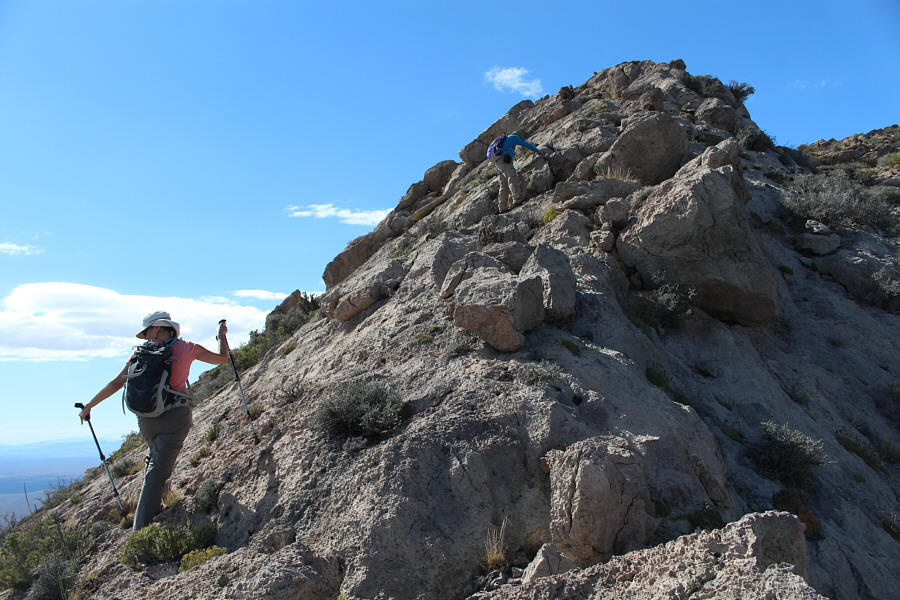 What is Dinah looking at?