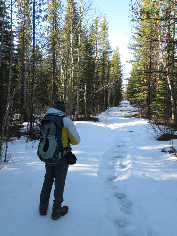 The crusty snow made for easy walking.