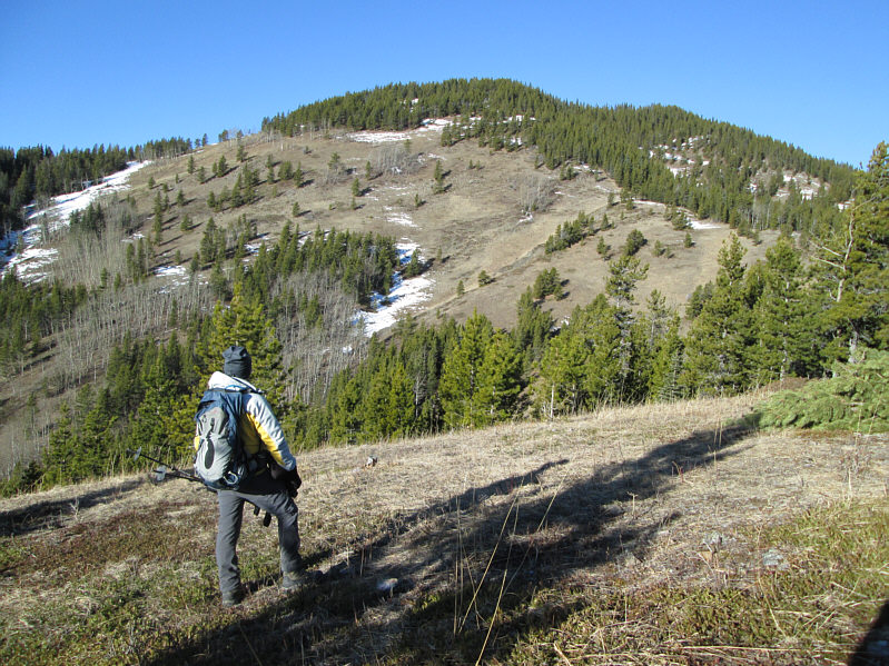 It's sad, but this outlier has better views than the actual summit of Mount Dyson!