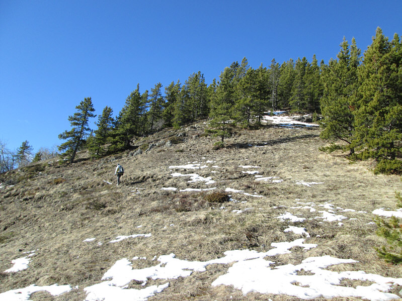 Better than no trail at all!