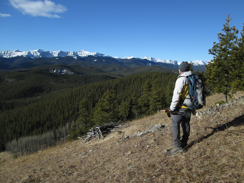 This was a nice lunch spot.