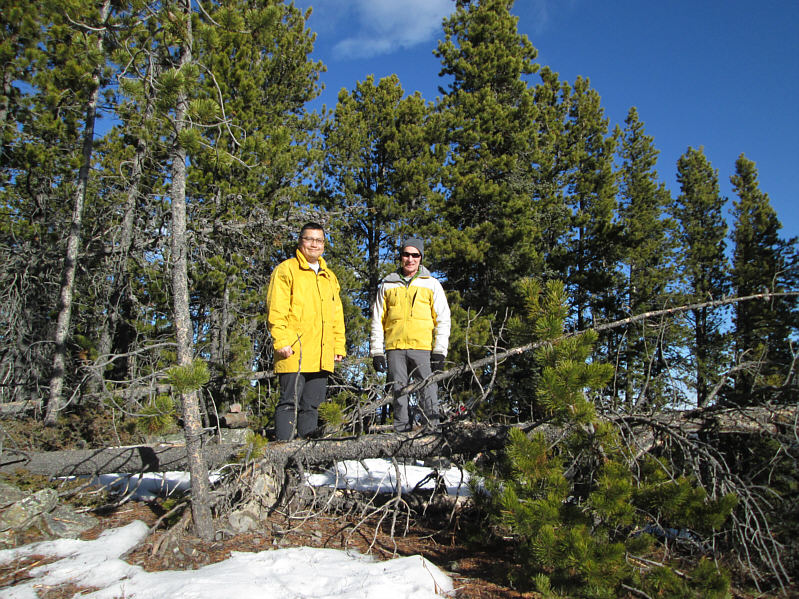 We could have taken this photo back at the parking lot and called it the "summit"!