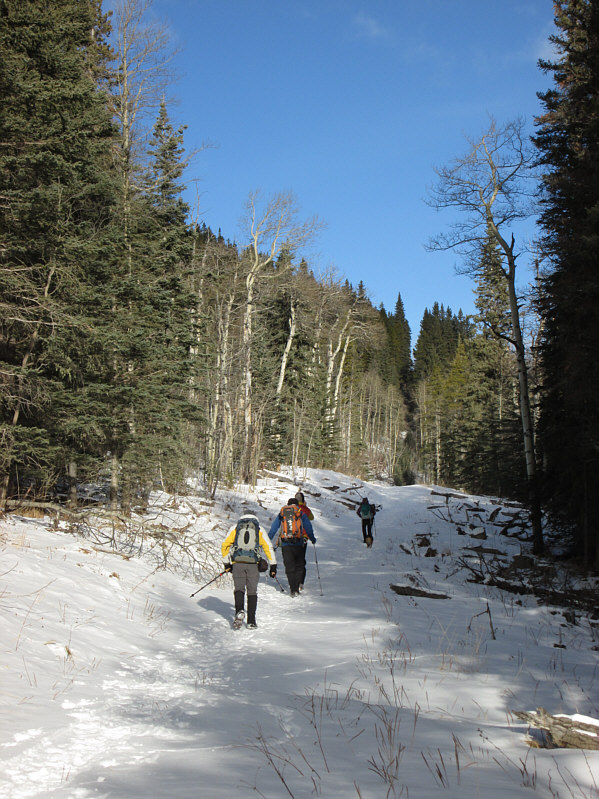 Whew! I can't keep up with these guys!