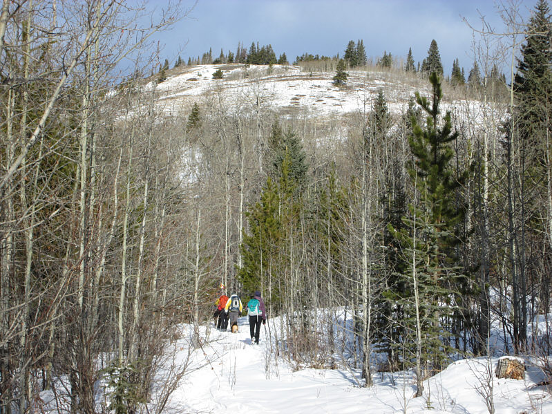 It's entirely feasible to go straight up, but we followed the winding trail anyway.