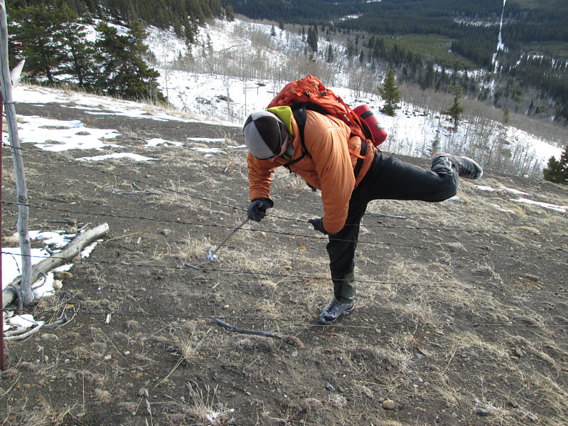 Raff re-enacts a scene from The Great Escape!