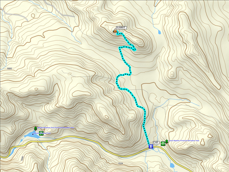 Not likely to become a classic hike, but it's okay for New Year's Day hangovers!