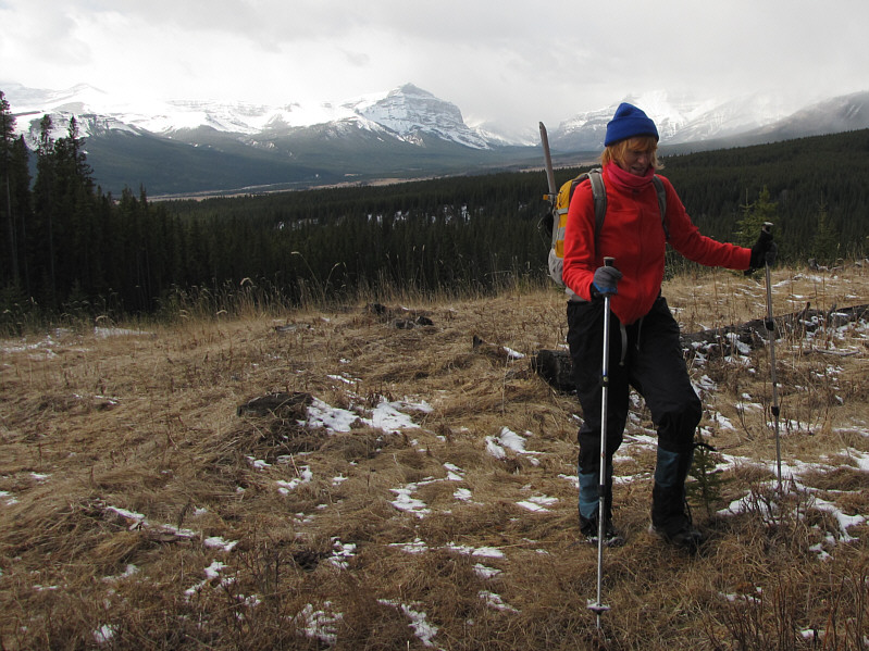 Marta looks kinda fluorescent. Must be the hair!