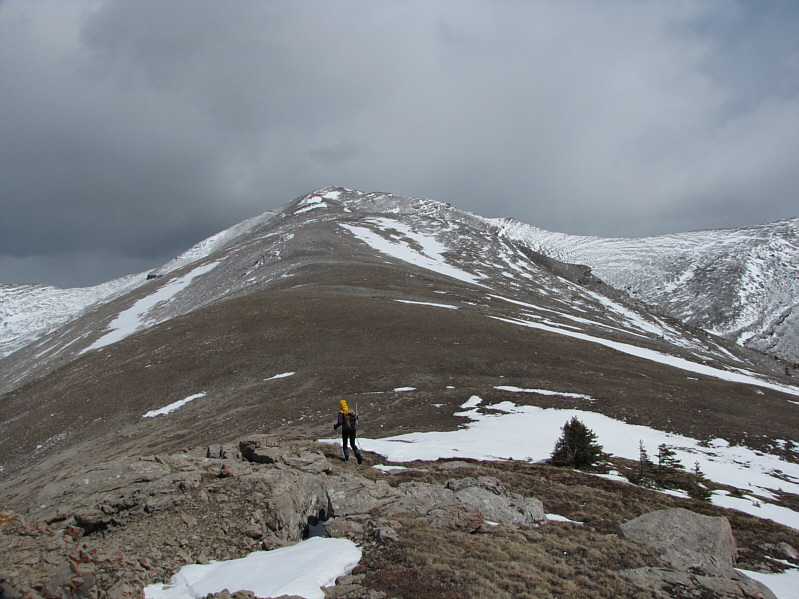 So broad it's kinda boring...