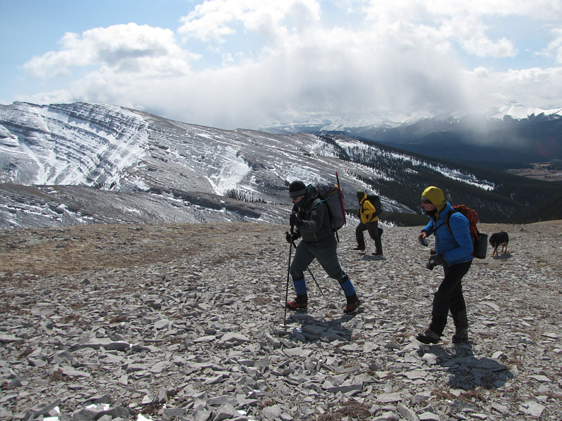 I could use some rum right about now...