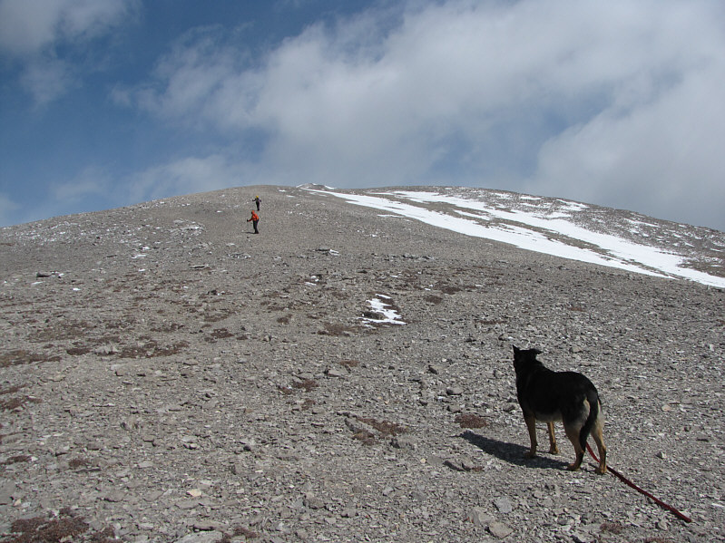 How does the ground feel, Crux? Ruff!!