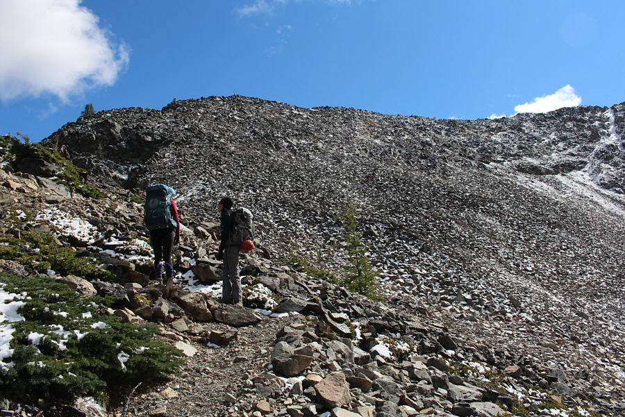 They were planning to do the longer loop to Windy Joe Mountain and seemed a bit surprised that the trail junction is on top of the ridge.
