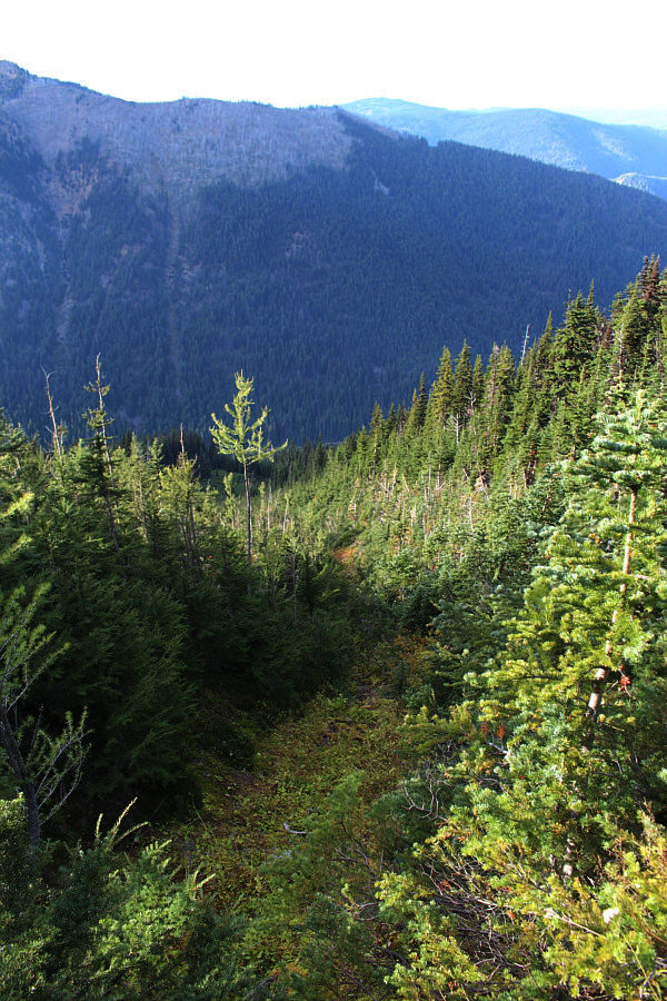 Make no mistake...the drainage is NOT your friend!