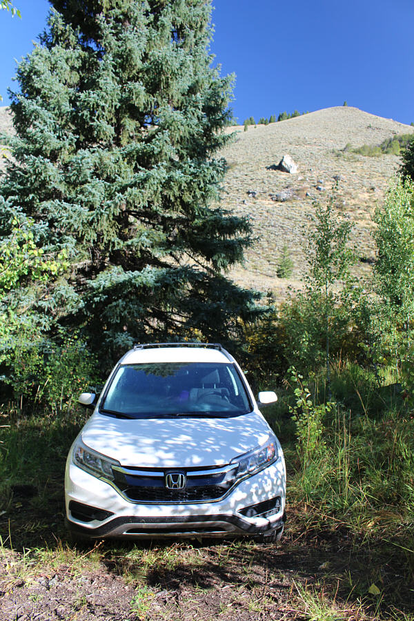 Actually, the creek was right behind the tree, and I had a big stump to use as a table.