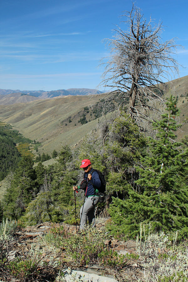 Bushwhacking is minimal or non-existent on the ridge. Yay!