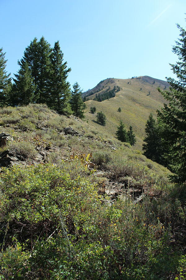 The section ahead is probably the steepest along the entire west ridge.