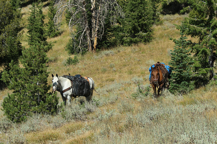 Not sure where the riders went (not up Grays Peak)...
