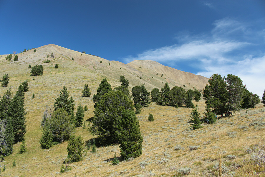The slope is steeper than it looks. It would be a real grunt to go up this way.
