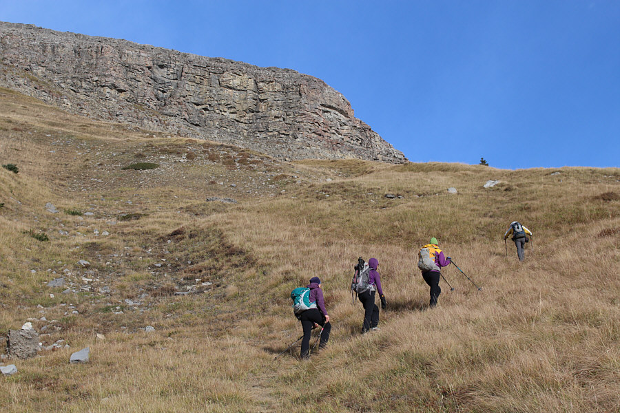 Purple appears to be a favourite colour among the women!