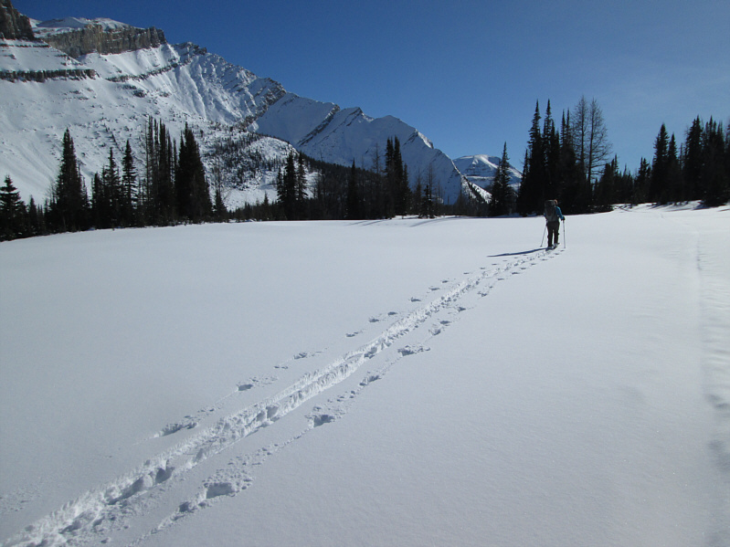 Aga actually seems to enjoy breaking trail!