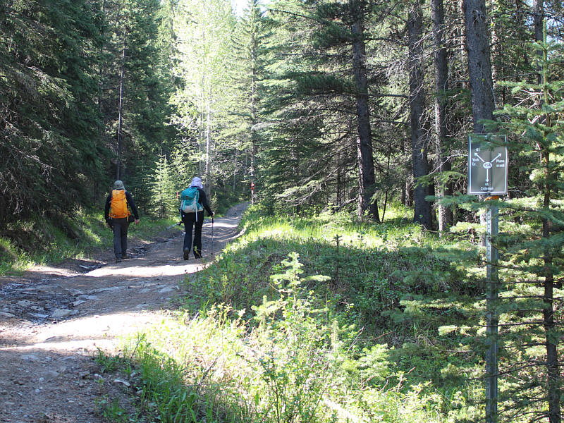 I wish I had a mountain bike...or an ATV!