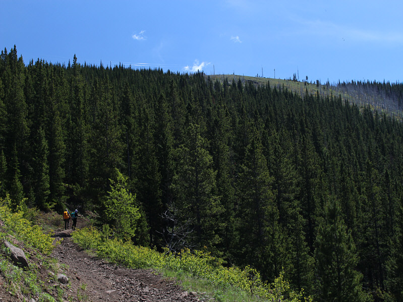 That's not the lookout site though!