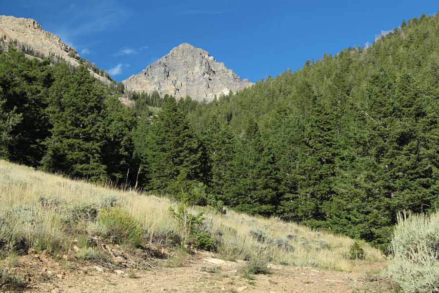 Strangely, I didn't really notice the peak on the hike in!